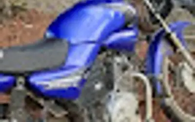Cobra é encontrada em cima de motocicleta no estacionamento da UFCG, em Cajazeiras